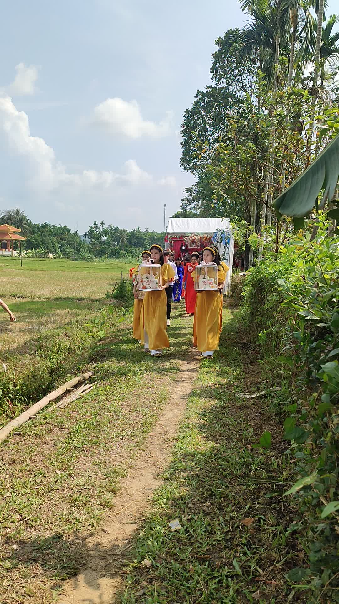 @Nguyễn Văn Thơi