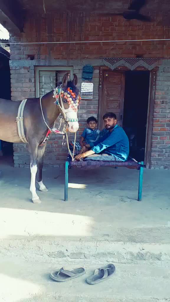 @Ahir Alpesh