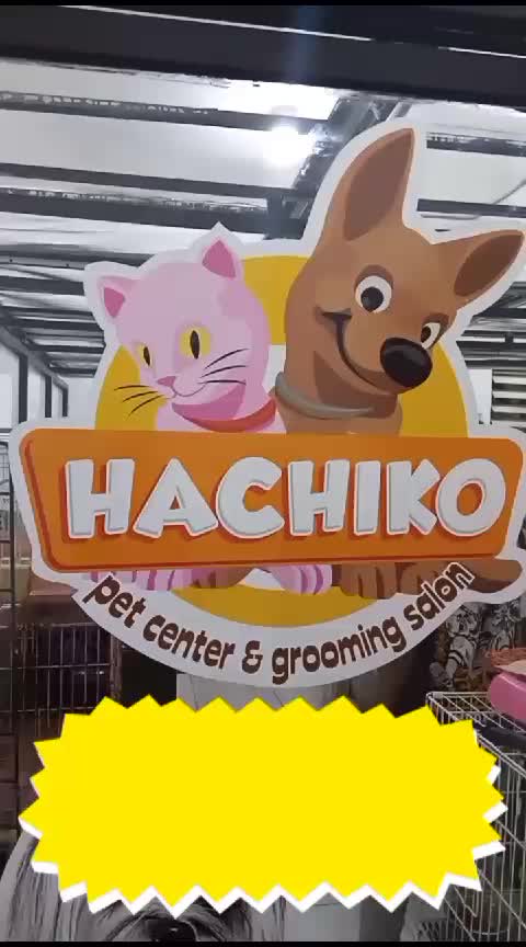@Hachiko PetShop Wiyung