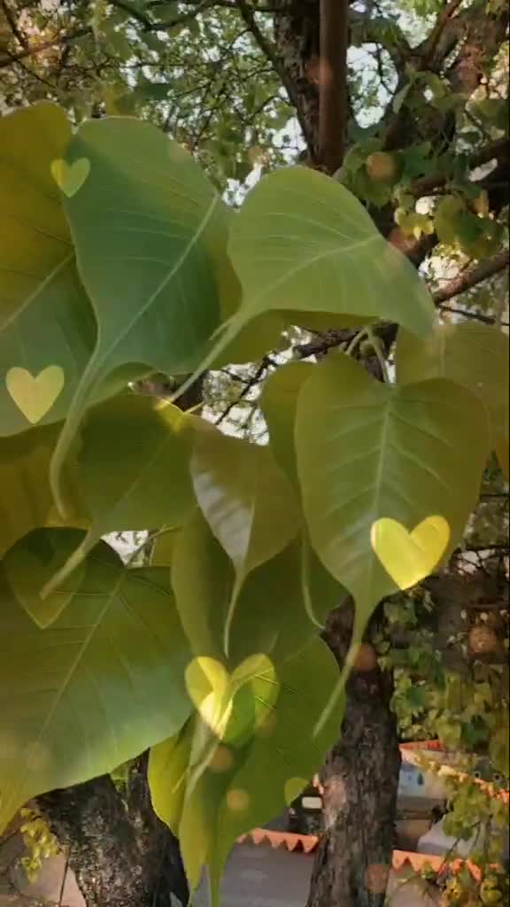 @komalkanmande93