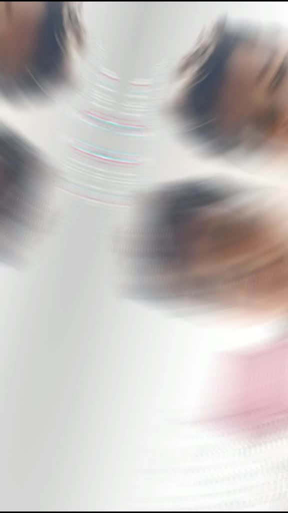 @RAJA
