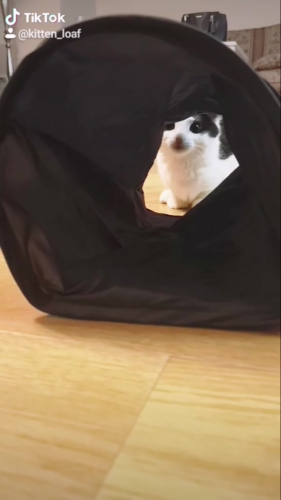 @If I fits I sits