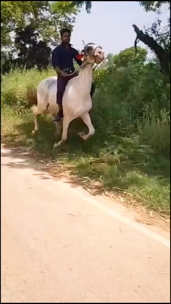 @Arjun(Aarav)