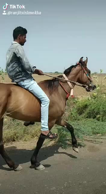 @s.h.sumra786