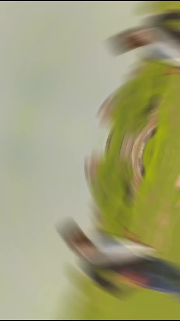 @🅐🅐🅚🅐🅢🅗