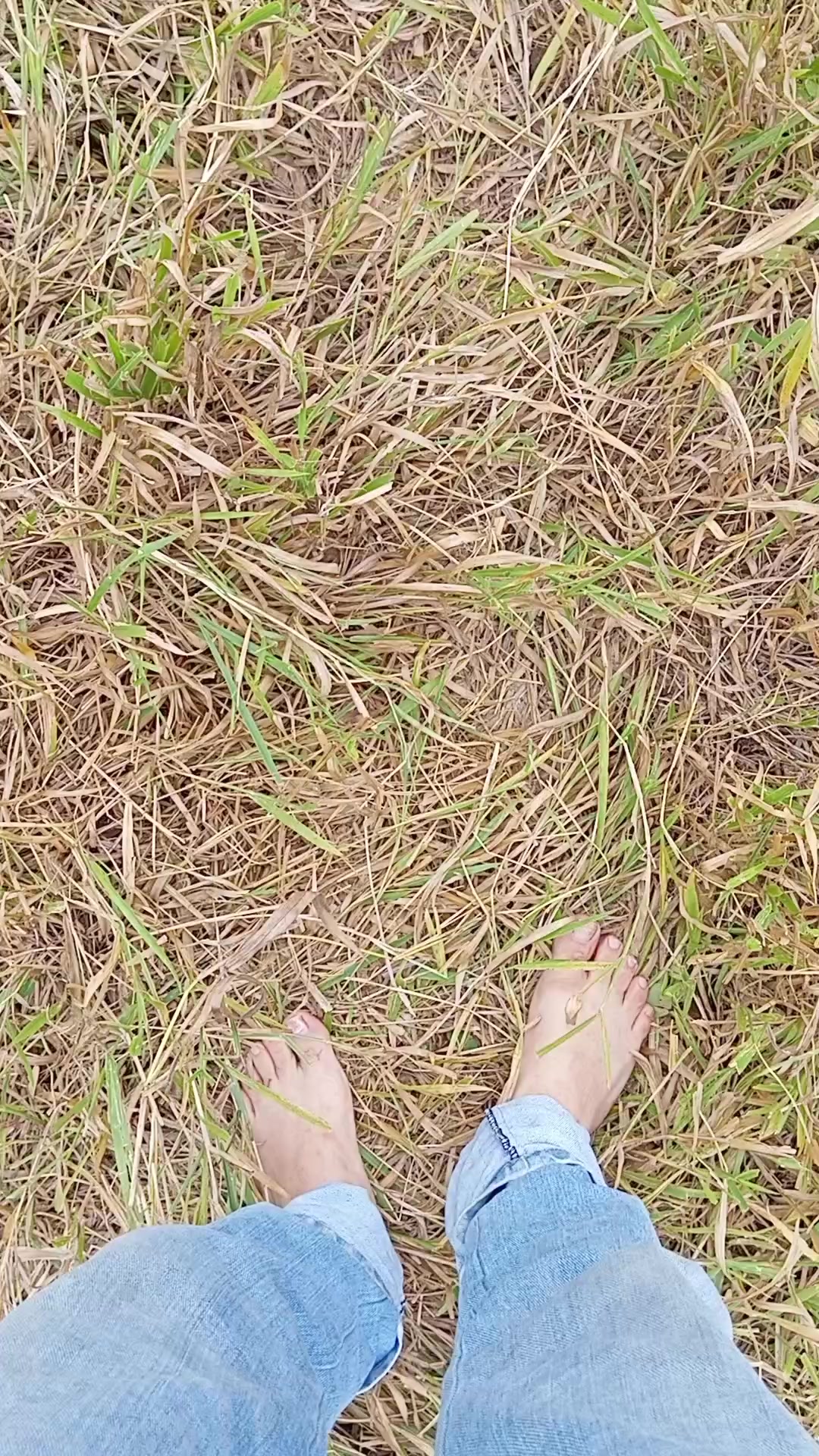 @SuperNovaRegenerative