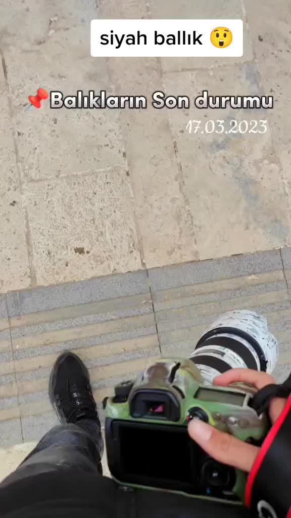 @丹CIMASIZ'๛1