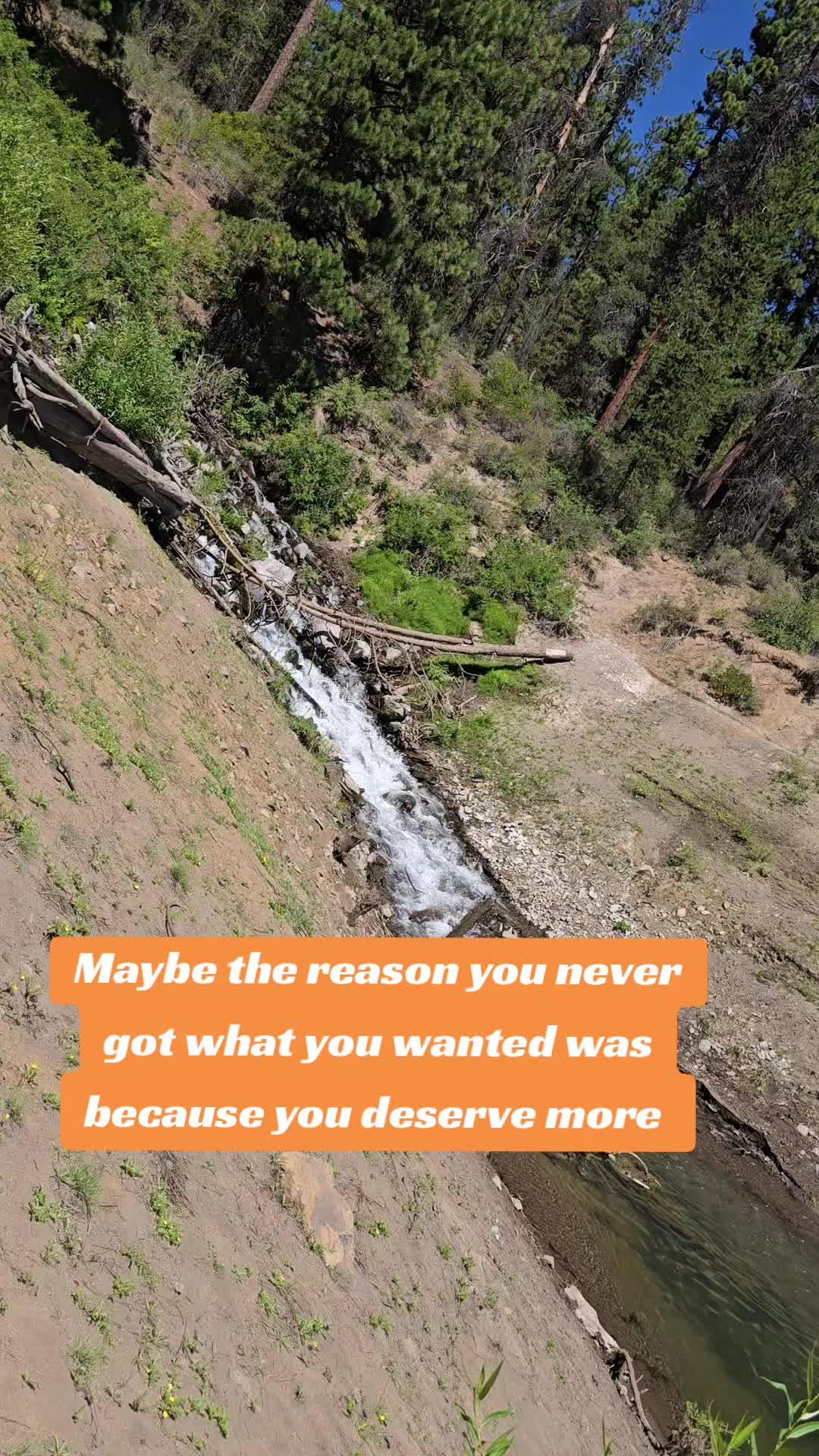@Sarah
