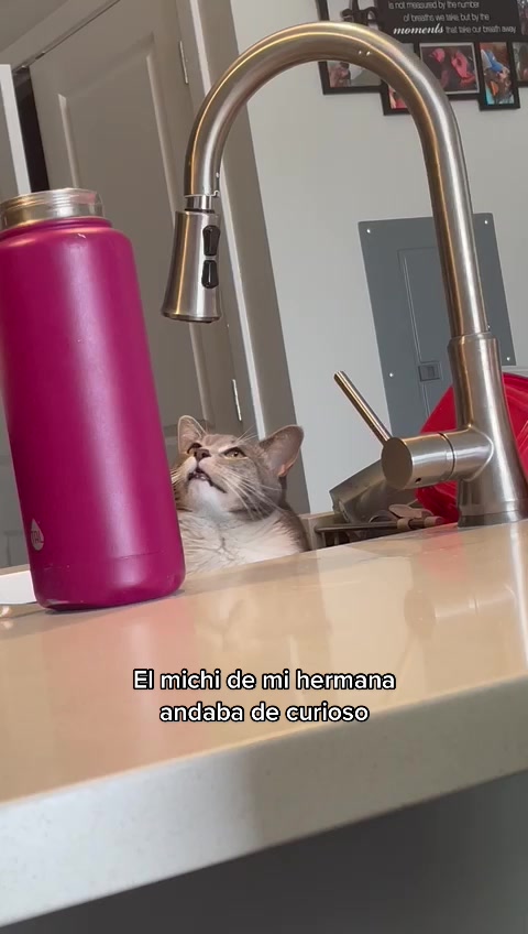 @salmacantu_