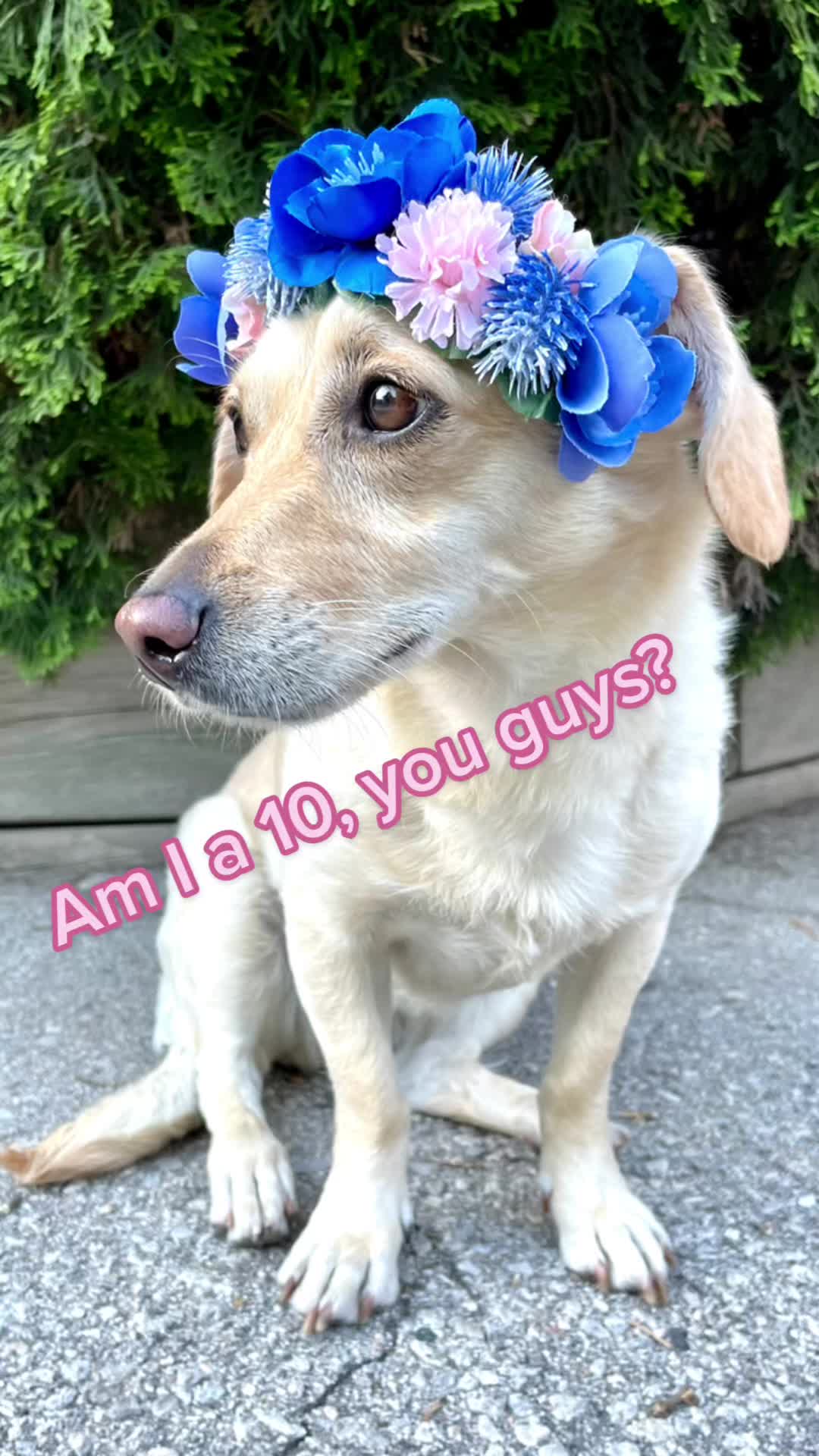 @Lucy