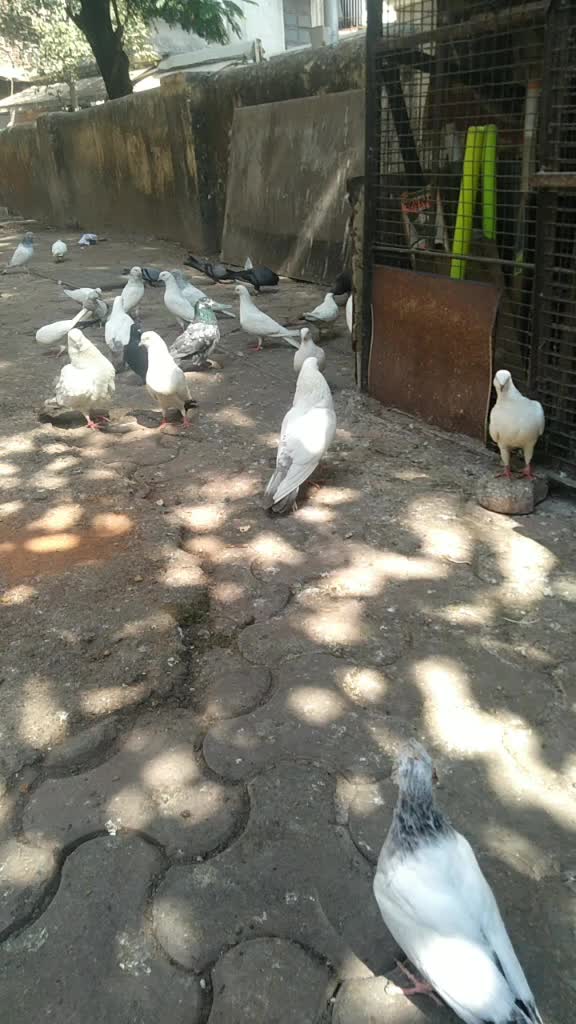 @Rahul Walmiki765