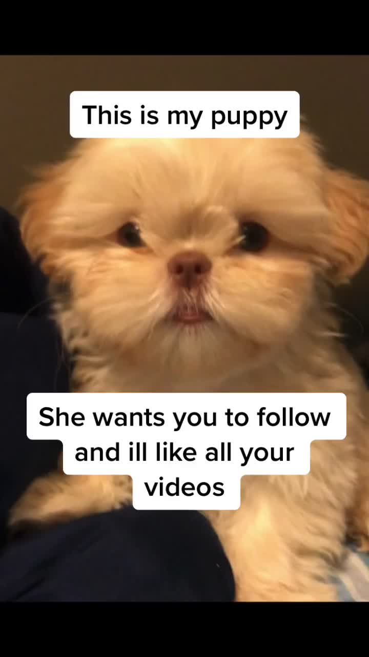 @Follow4_Likes
