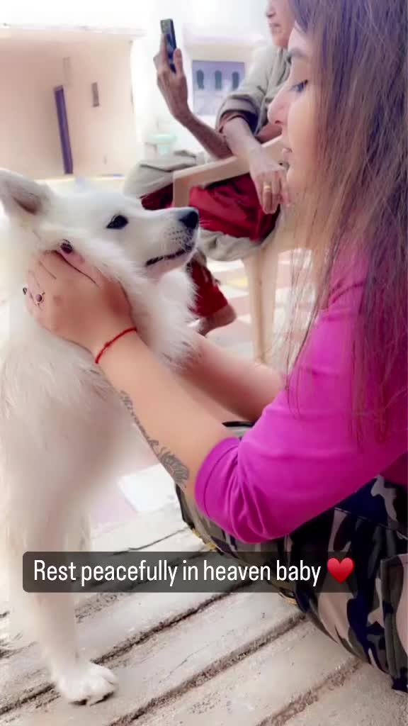 @Khushi odedara