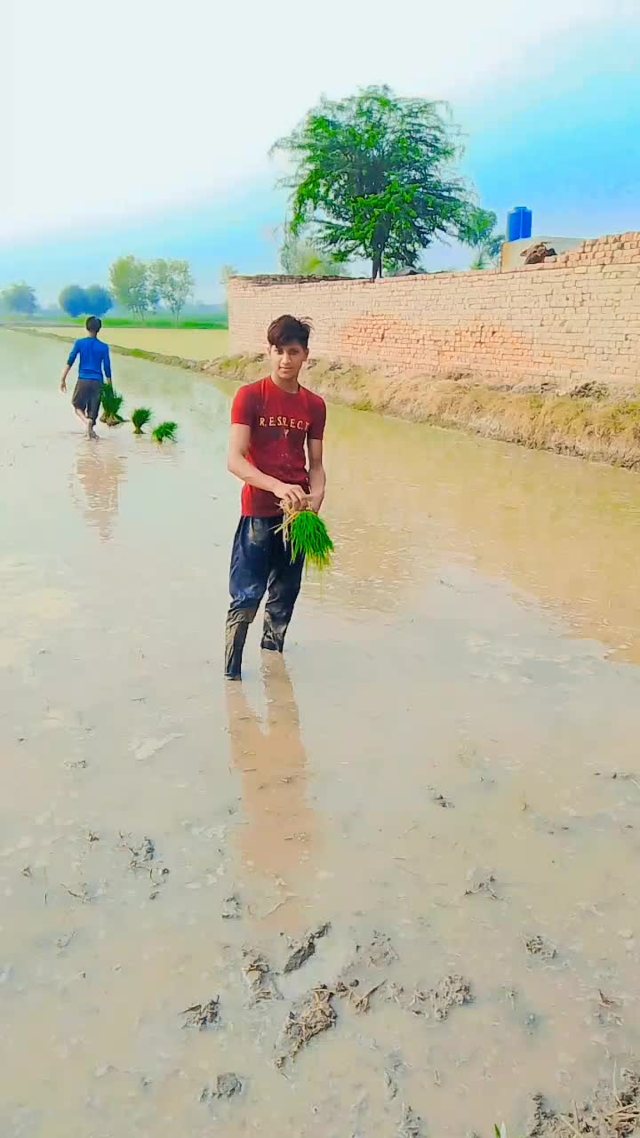 @Pirmahal💔 sad ❤️&zwj;🩹boy