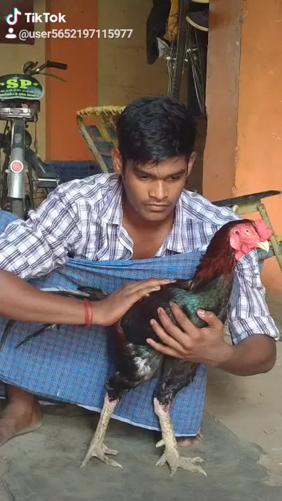 @tamil