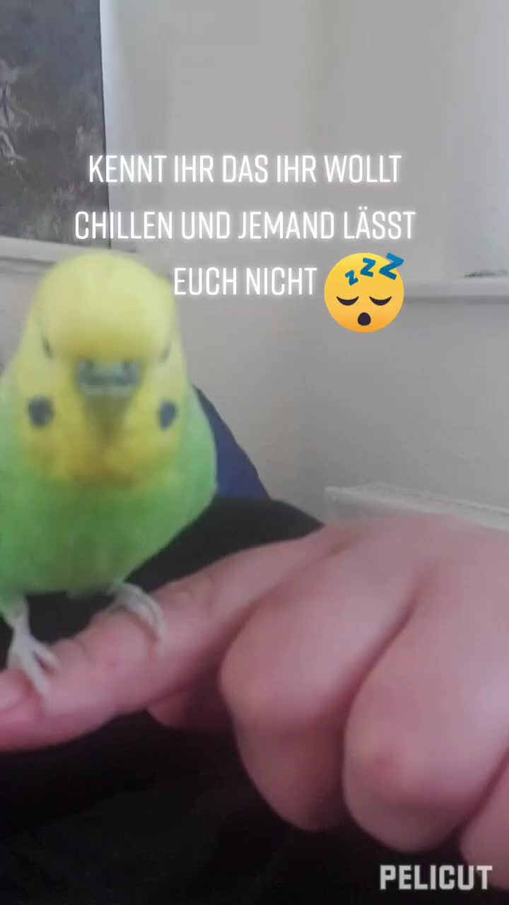 @Mira 41