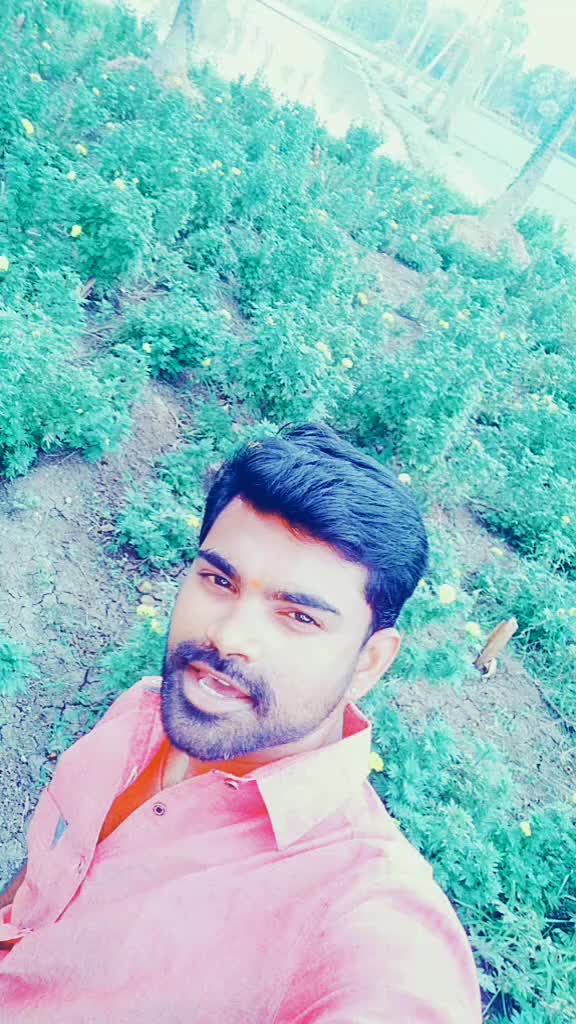 @user071582