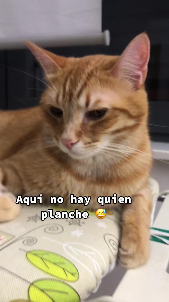 @Eva Cañas