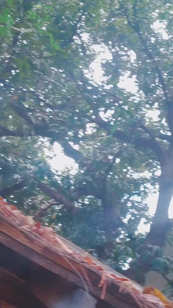@Dhanalakshmi Ammu