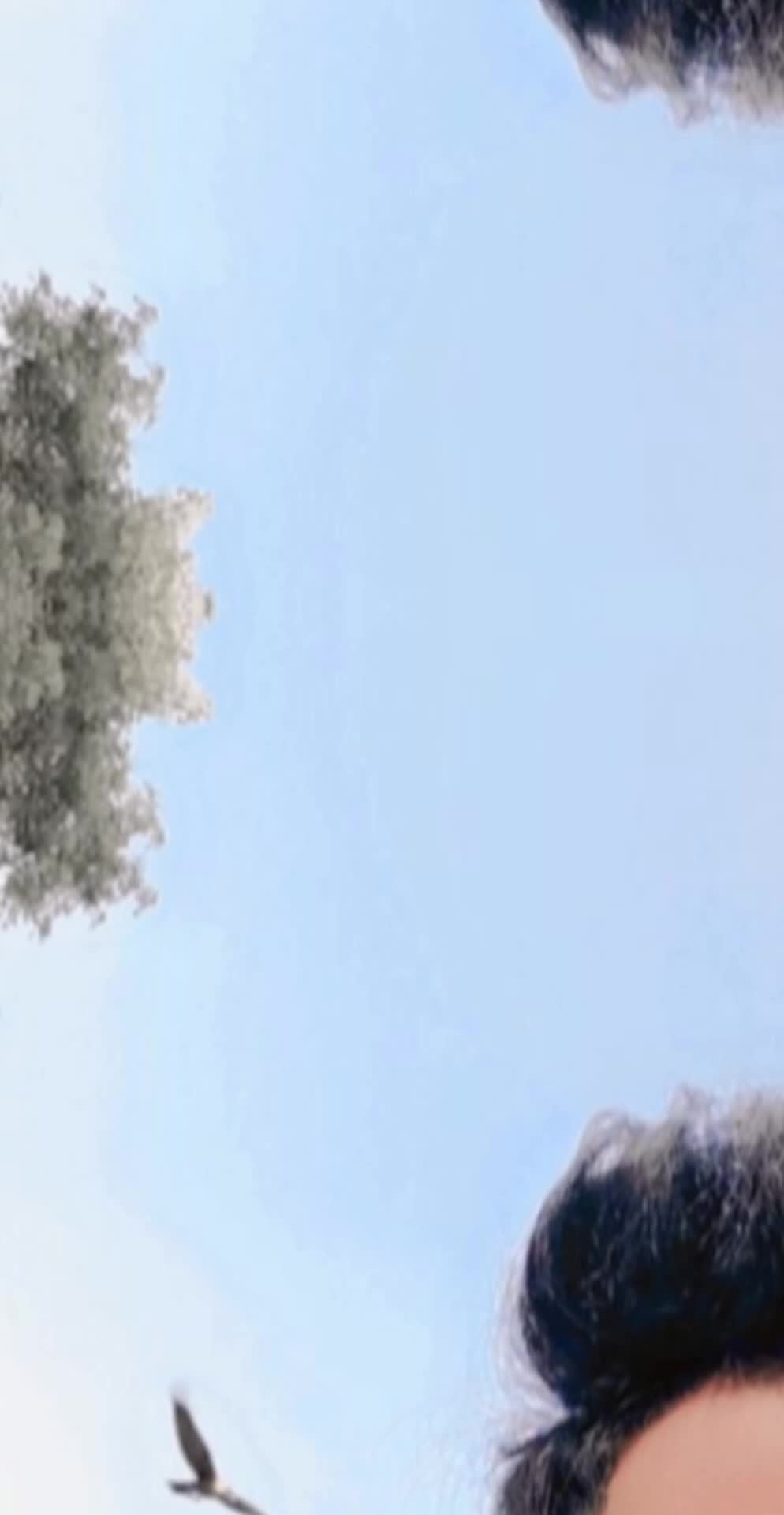 @🦁چوھدری رضوان احمد ارائیں🦁