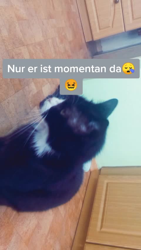 @Eyyyyy 😂