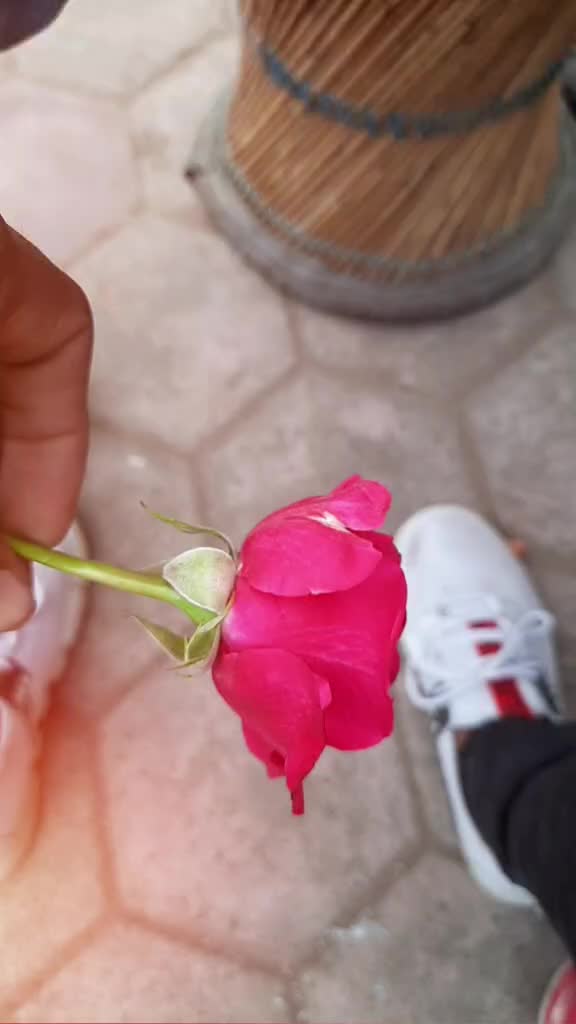 @🔥@pappayaaaa.pr🔥