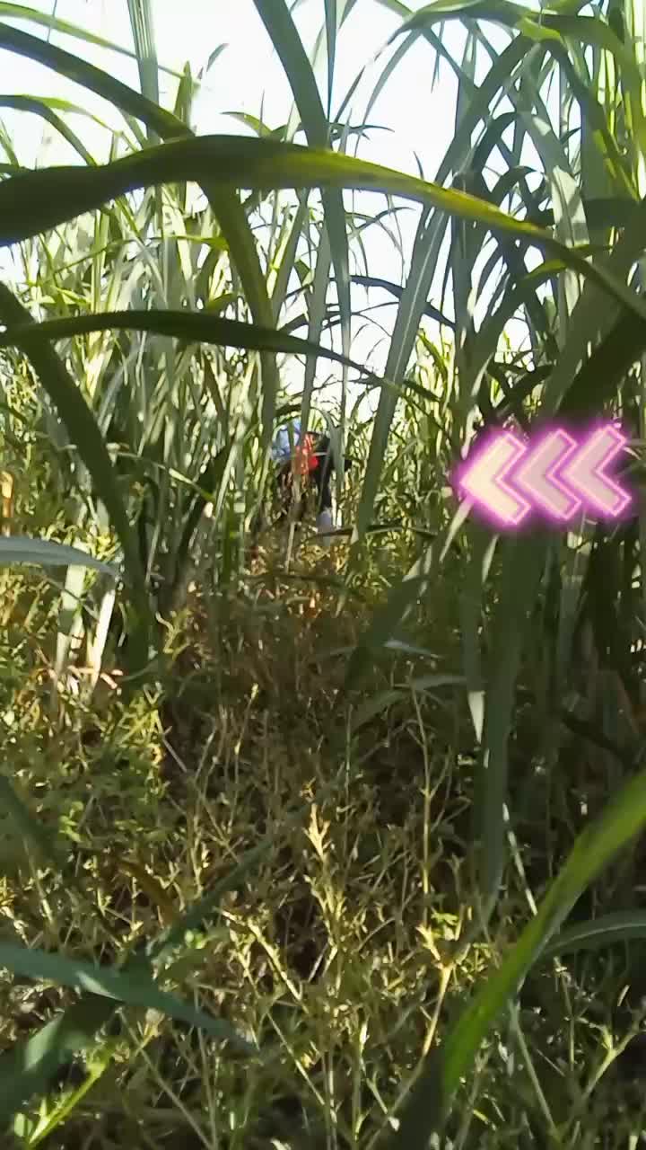 @Adán