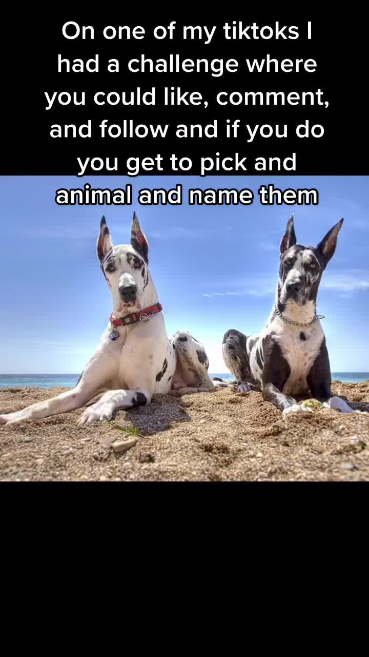 @Cute pet names