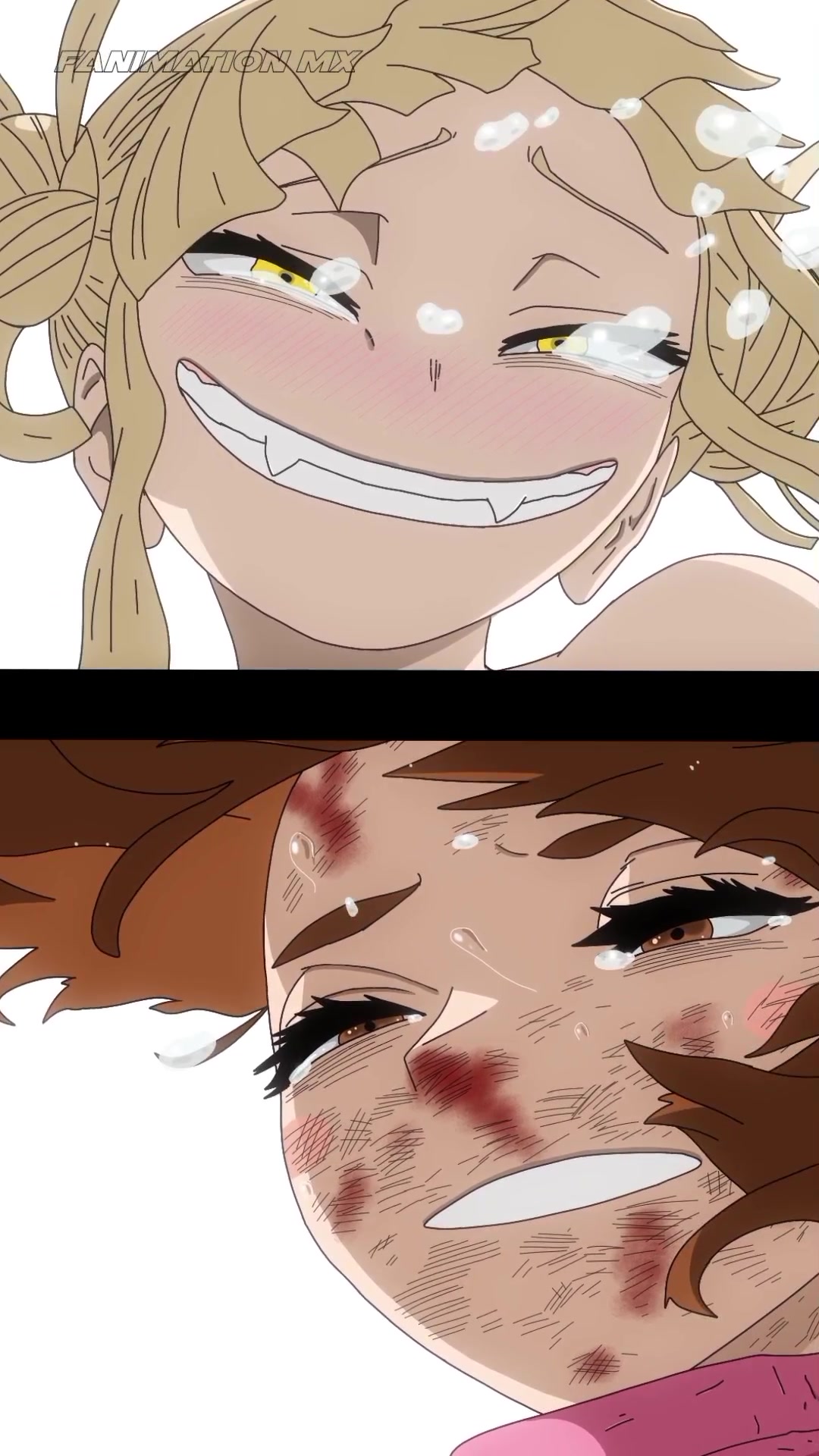 @Fanimation Mx