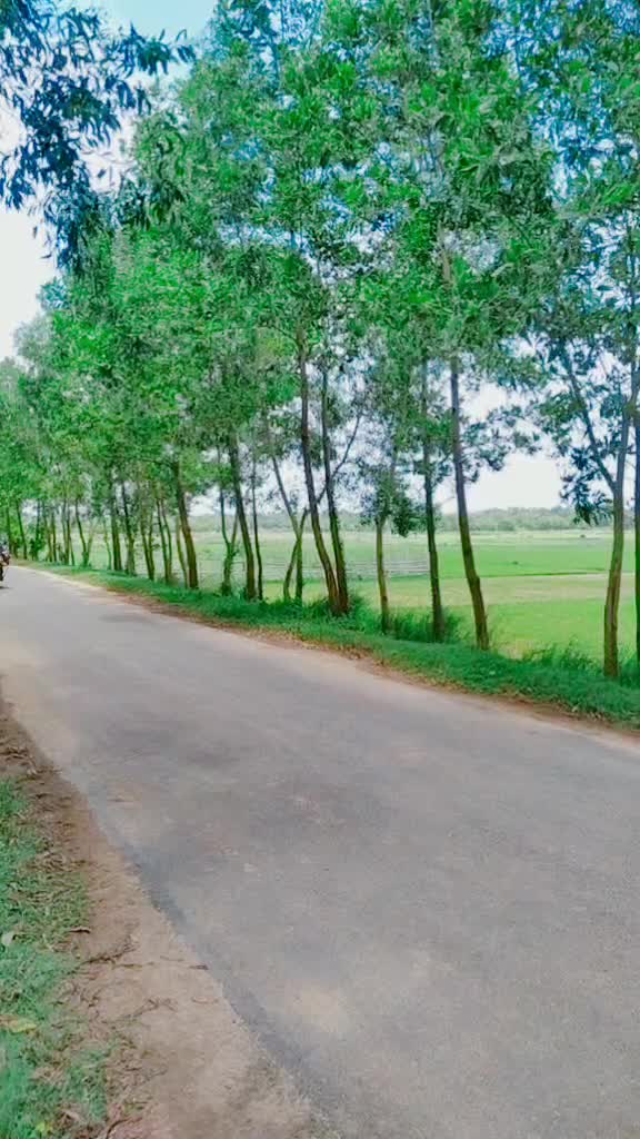 @somanath sahoo