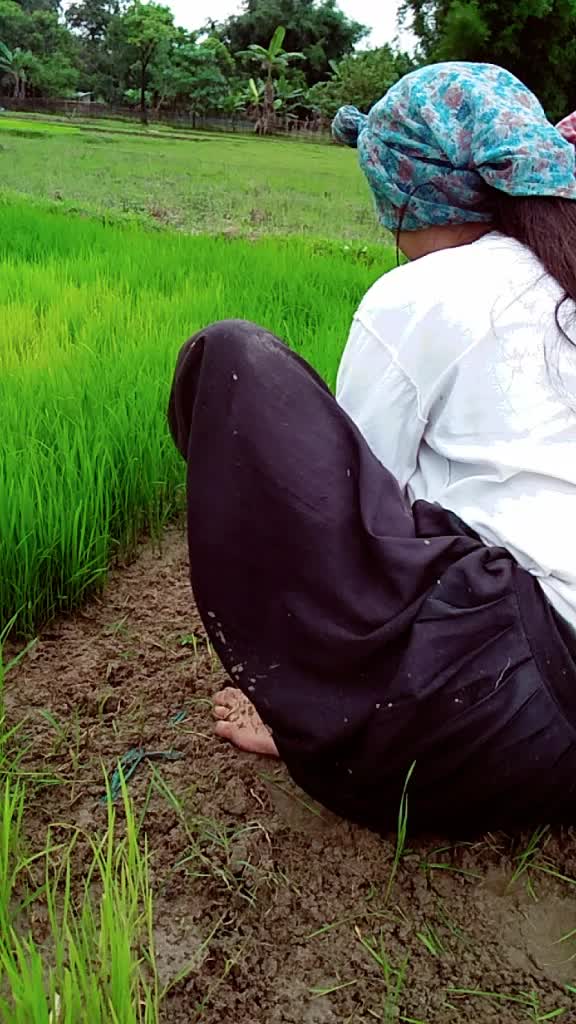 @nani lama