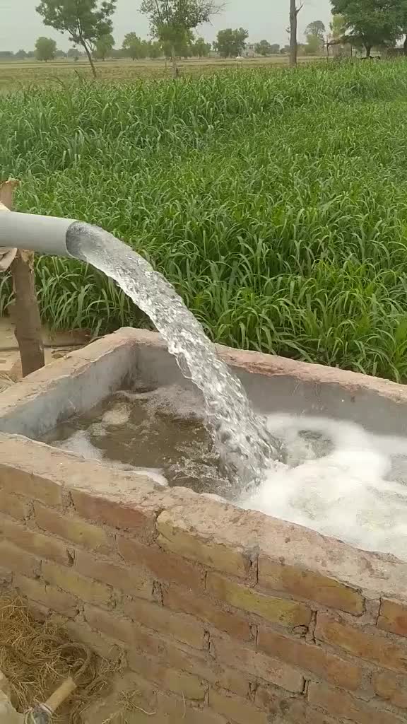 @parbhu_barar