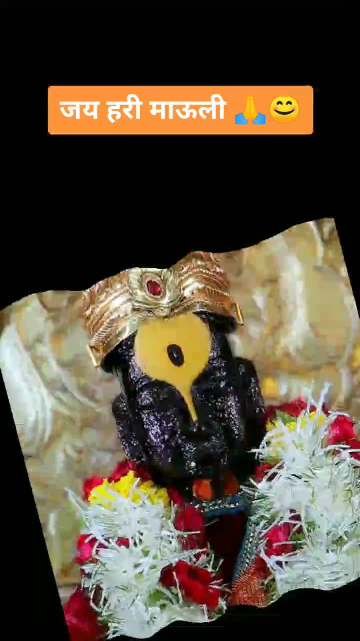 @www.shailashinde.in