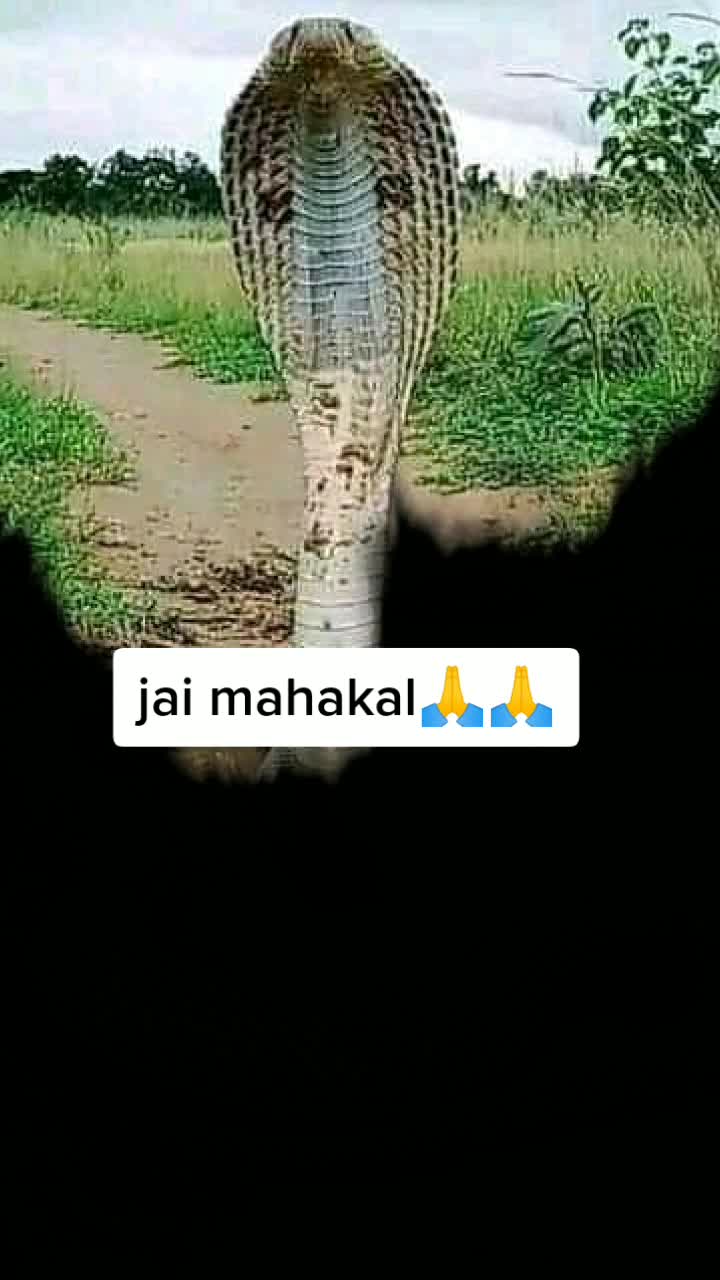 @ziddi boy Akleshmehra