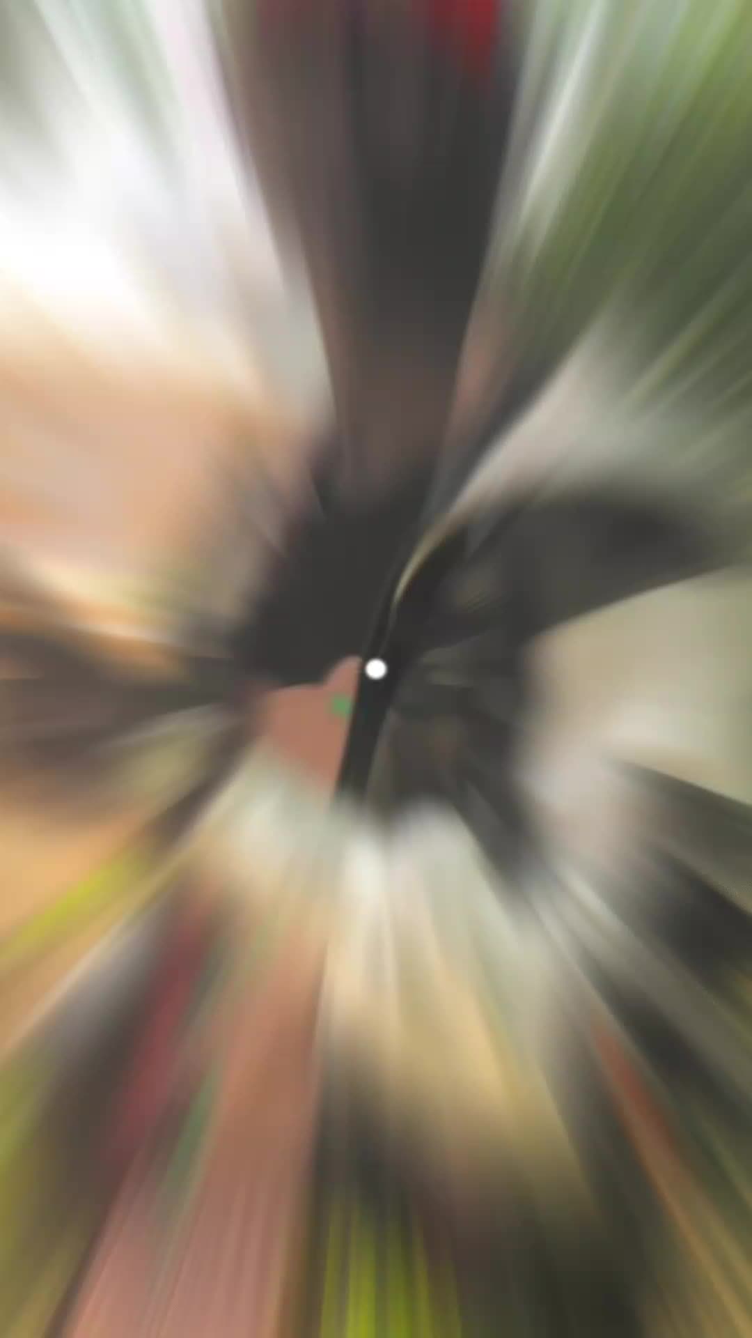 @Amadou