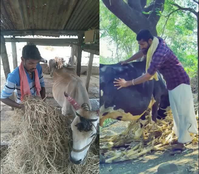 @Devaraja E Hugar Dev