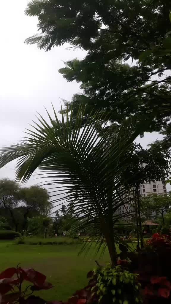 @naaz910201