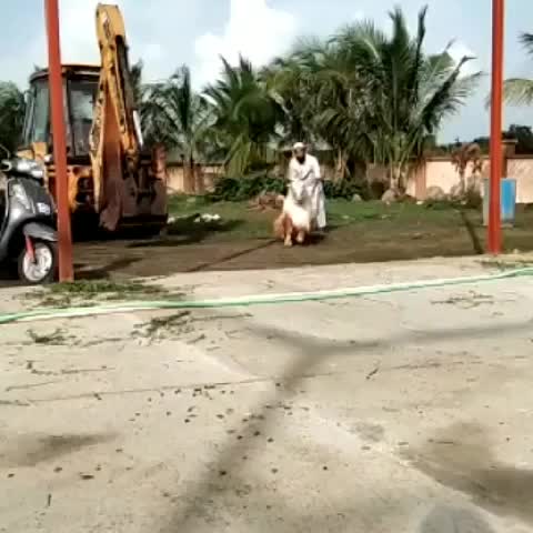 @goatloverroorkee