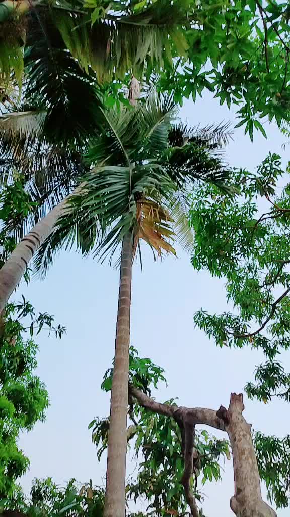 @pari.1399422