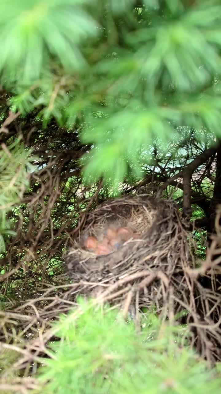 @Ольга