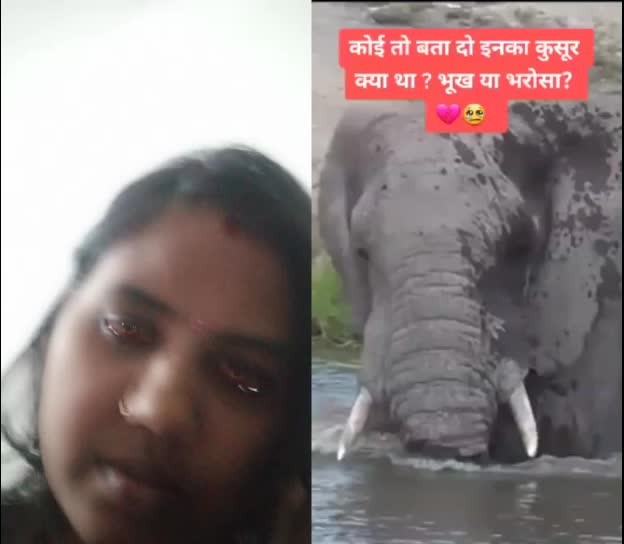 @Ananya Aayansh Raj