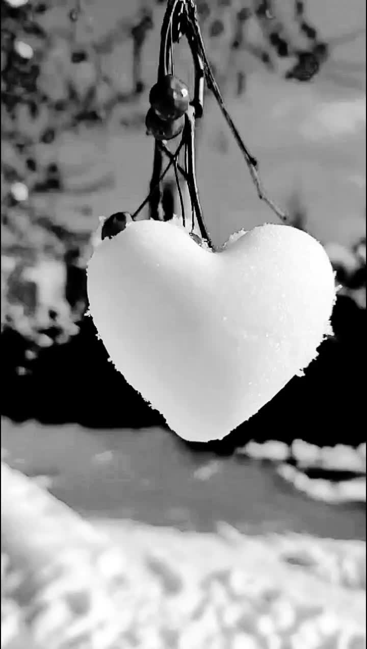 @🖤 ᴰᵃʳᵏ᭄Life 🖤