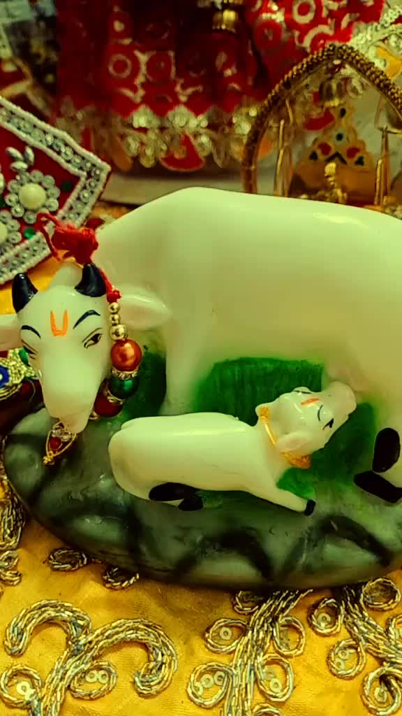 @mamta