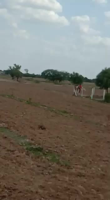 @Mr.yuvrajsinh 👑