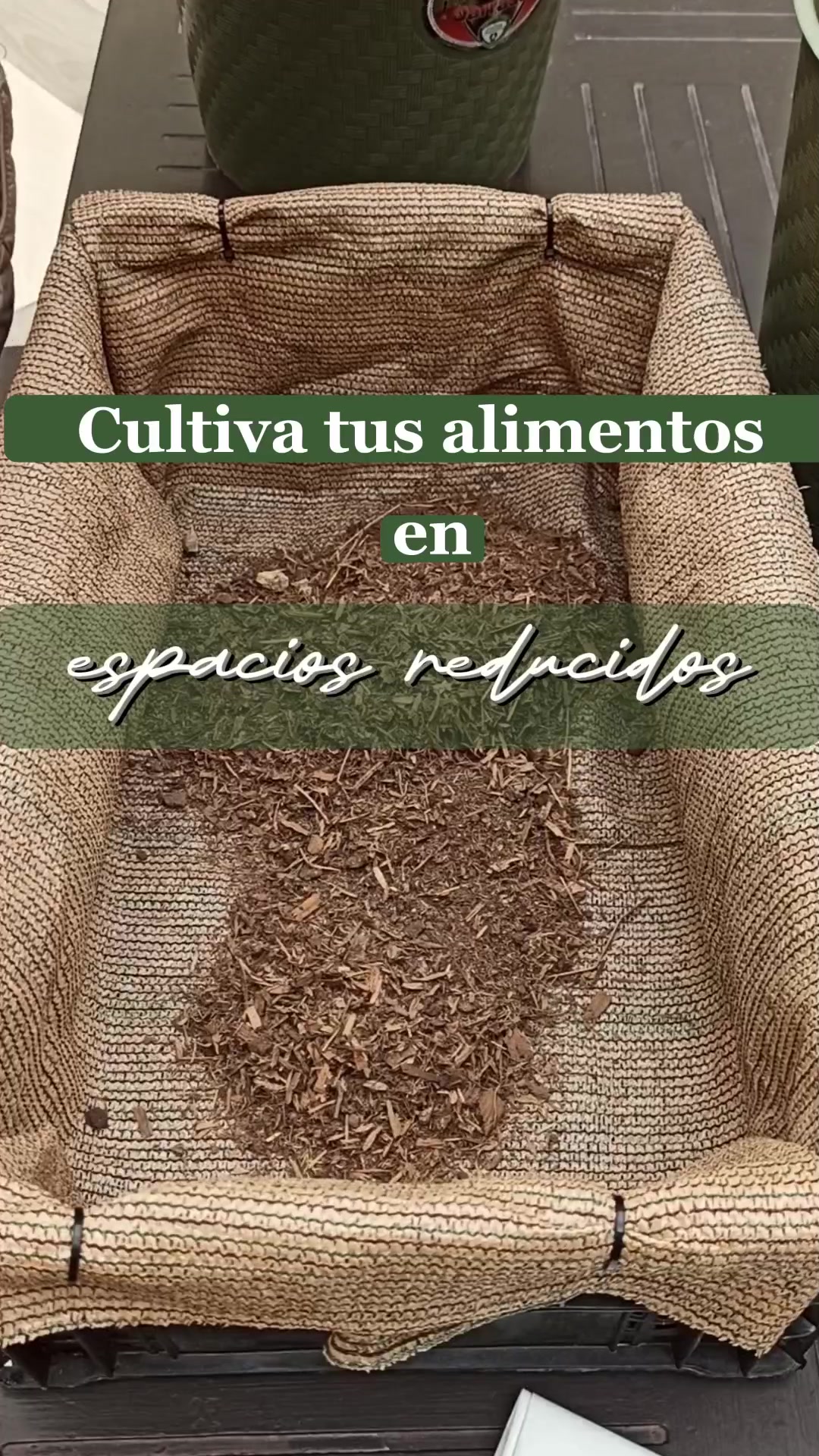 @Local Garden Mty