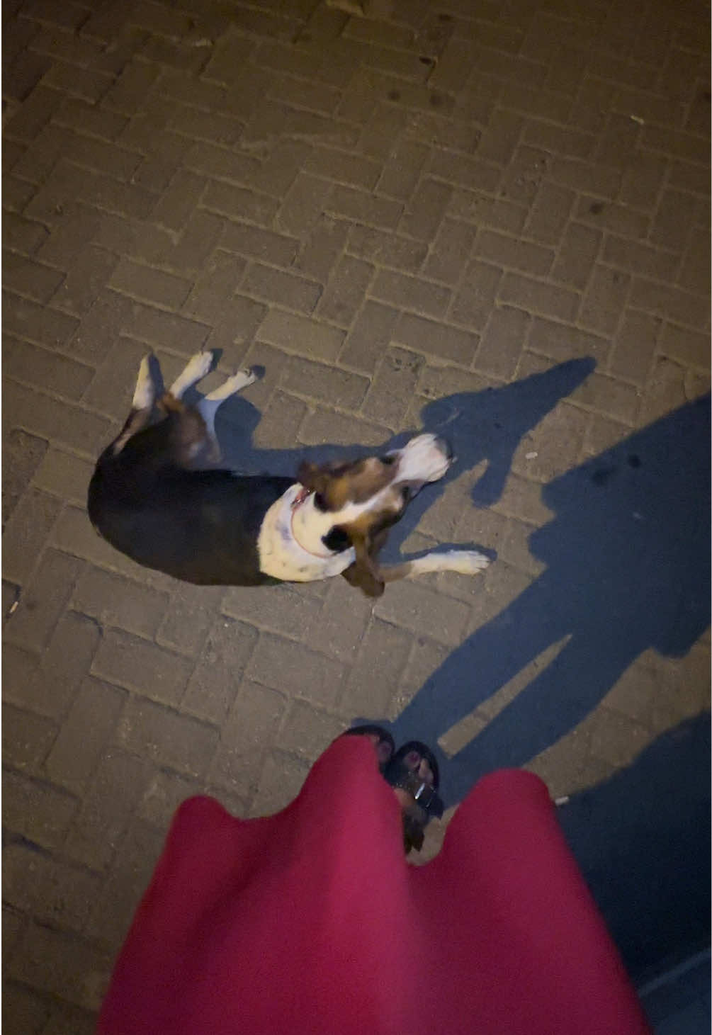 @Mina🪽