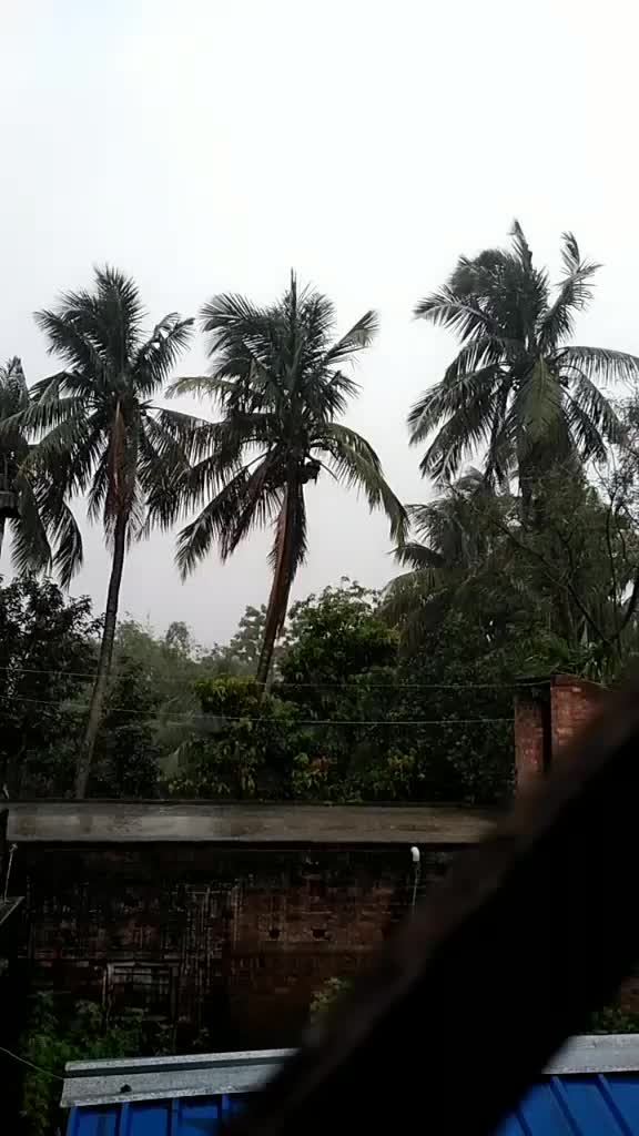 @Moupriya Manna