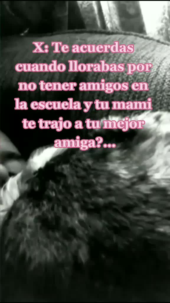@Sofia Camacho