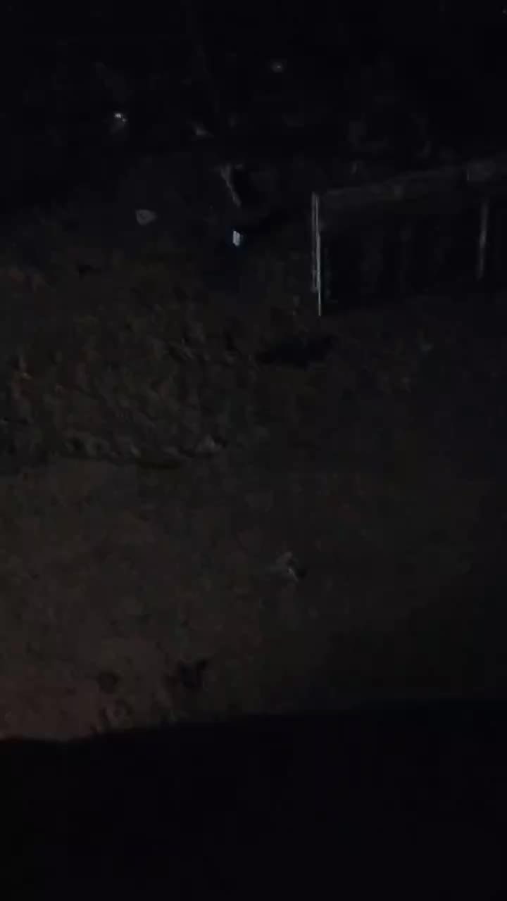 @Boodo ⚡🇮🇲