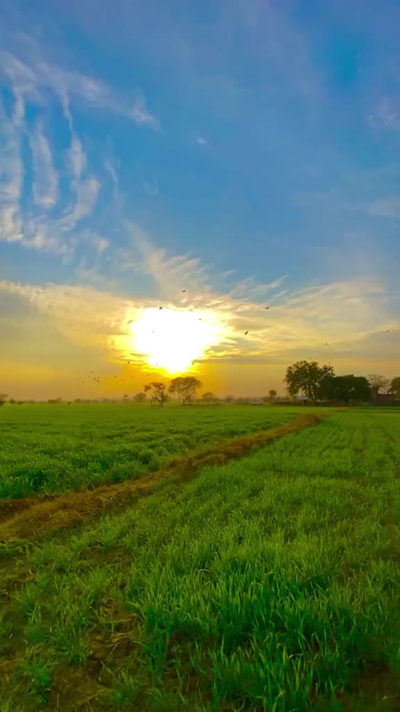 @Rameshar Rameshar